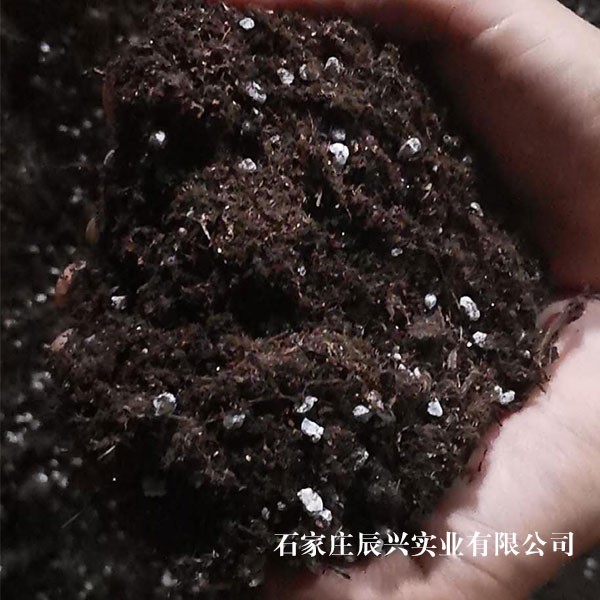 育苗土